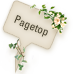 Pagetop