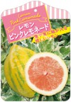 レモン No.250 ピンクレモネード
